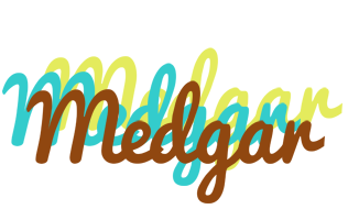 Medgar cupcake logo