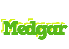 Medgar picnic logo