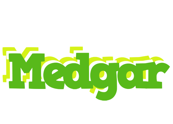 Medgar picnic logo