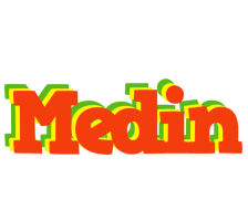 Medin bbq logo