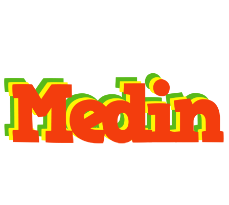 Medin bbq logo