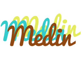 Medin cupcake logo