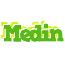 Medin picnic logo