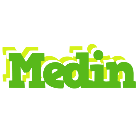 Medin picnic logo