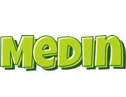 Medin summer logo