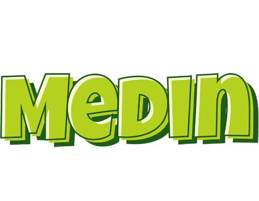 Medin summer logo