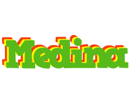 Medina crocodile logo