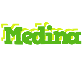 Medina picnic logo