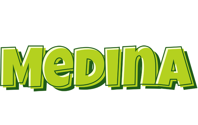 Medina summer logo