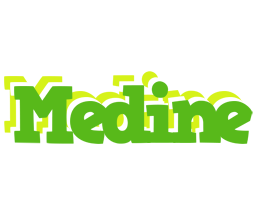 Medine picnic logo