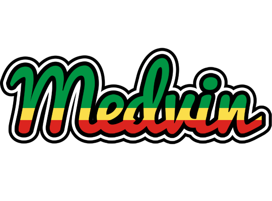 Medvin african logo