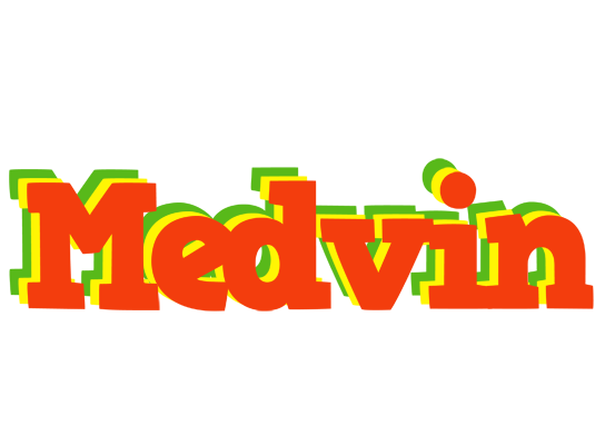 Medvin bbq logo