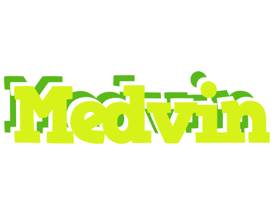 Medvin citrus logo