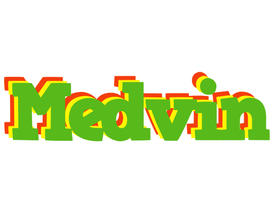 Medvin crocodile logo