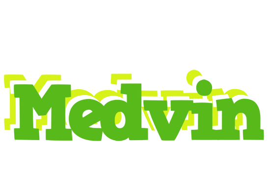 Medvin picnic logo