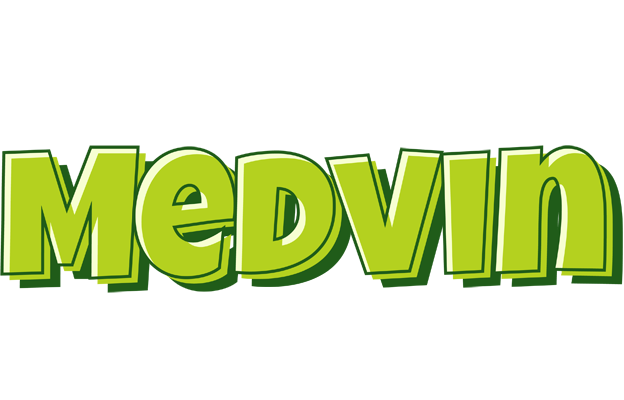 Medvin summer logo