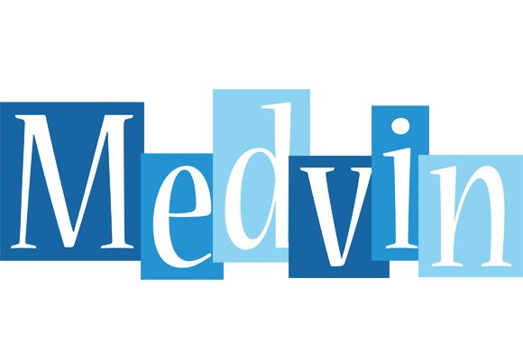 Medvin winter logo
