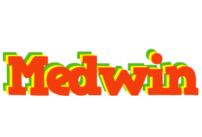 Medwin bbq logo