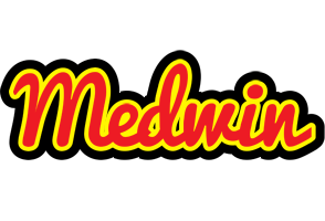 Medwin fireman logo