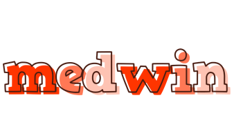 Medwin paint logo