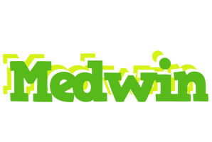 Medwin picnic logo