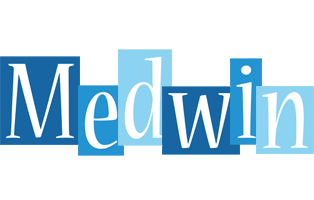 Medwin winter logo