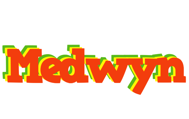 Medwyn bbq logo