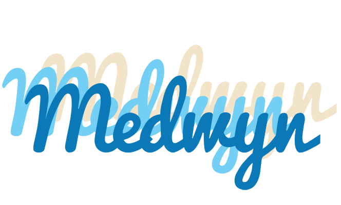 Medwyn breeze logo