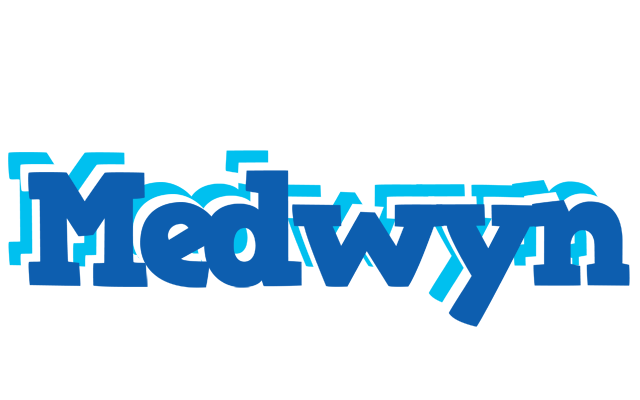Medwyn business logo