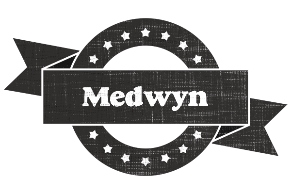 Medwyn grunge logo