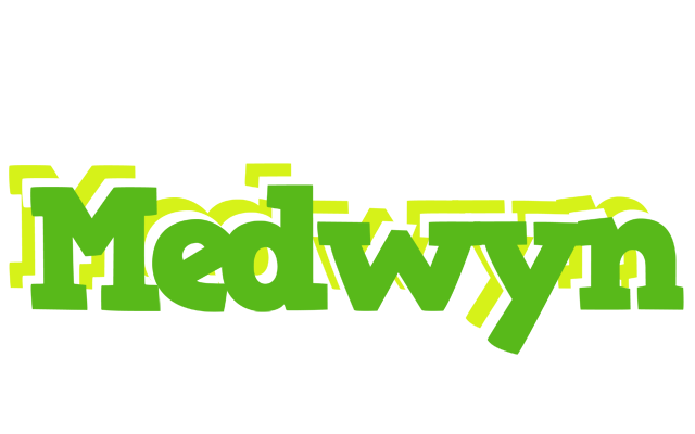 Medwyn picnic logo