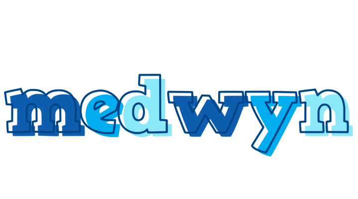 Medwyn sailor logo