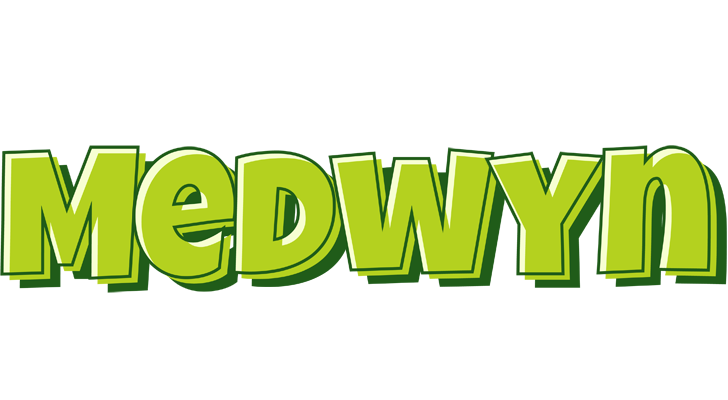 Medwyn summer logo