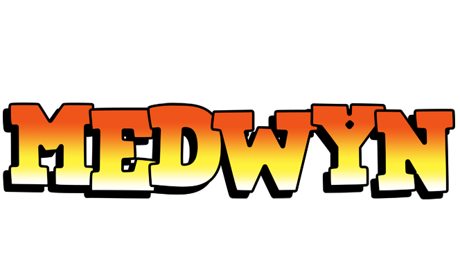 Medwyn sunset logo