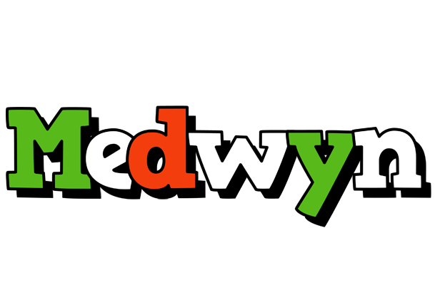 Medwyn venezia logo