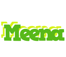 Meena picnic logo
