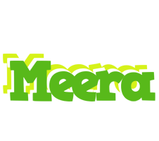 Meera picnic logo