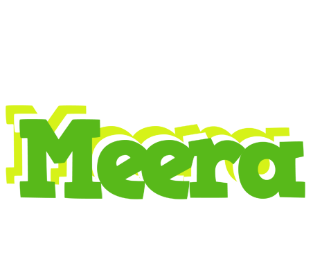 Meera picnic logo