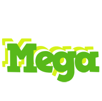 Mega picnic logo