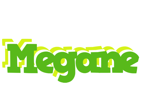 Megane picnic logo