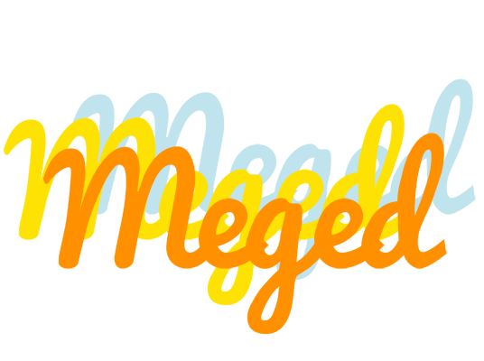 Meged energy logo