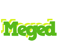 Meged picnic logo