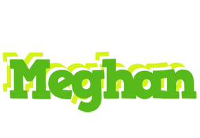 Meghan picnic logo