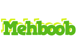 Mehboob picnic logo