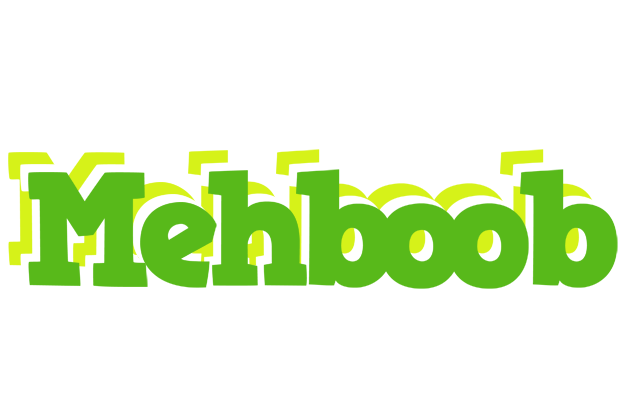 Mehboob picnic logo