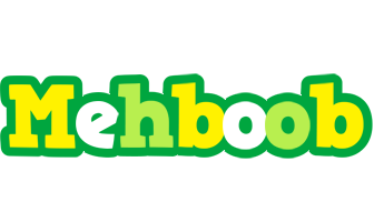 Mehboob soccer logo