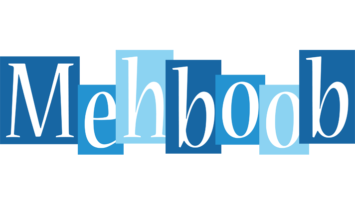 Mehboob winter logo