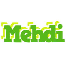 Mehdi picnic logo