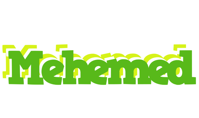 Mehemed picnic logo