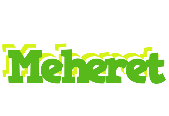 Meheret picnic logo